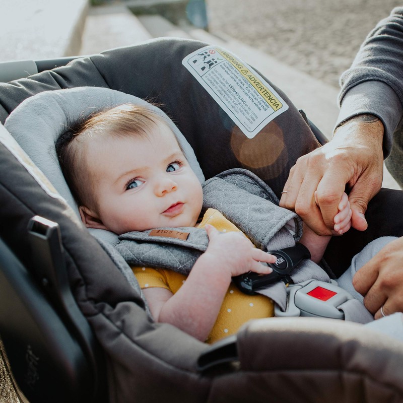 JJ Cole Reversible Body Support Blackout Quilted