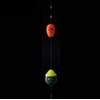 kizakura (kizakura) uzawa D. SUS2 & D – Win 0/J3 Orange
