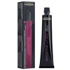 L'Oréal Dia Richesse 50 ml .26 Amethyst