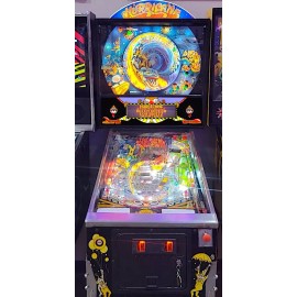 Williams Amazing HURRICNE Pinball Machine CUSTOM SPEAKER PANEL AWESOME! EXTRA ARTWORK