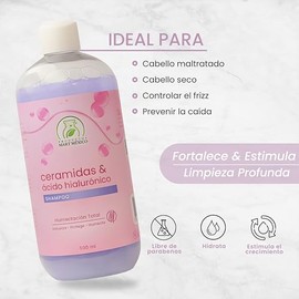 Productos Mart Mexico Shampoo Ceramidas Y Ácido Hialurónico Productos Mart Mexico 500 Ml