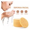 TAIMAKA Esponja Limpieza Facial Compresa Celulosa Comprimida C/50 Pz