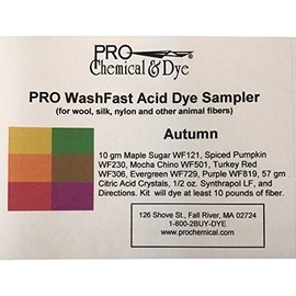 WashFast Autumn Acid Dye Sampler