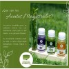 LOBATO Aceite Para Masaje Diferentes Aromas Aromaterapia Relajante