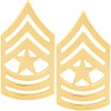 Army Sergeant Major Rank Pin