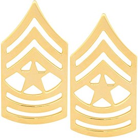 Army Sergeant Major Rank Pin