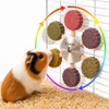 C-LIGHT Guinea Pig Chew Toys, Rotating Spinner + 8 Pcs