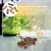 Mini Tortoise Skateboard for Small Pets - Fun Turtle Skateboard