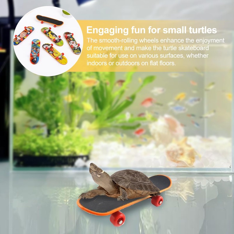 Mini Tortoise Skateboard for Small Pets - Fun Turtle Skateboard