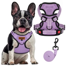 MIDOG Dog Harness, No-Pull Pet Harness and Leash Set for Small Medium Large Dogs Walking, No Choke Front Clip Dog Reflective Harness,Adjustable Soft Padded Pet Vest with Easy Control Handle (Purple,M)