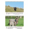 Eselzauber DIN A5 Desk Calendar for 2022 Donkey Seelenzauber