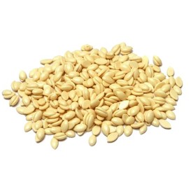 Blue Pearl Wax White Chocolate Coast Hard Bead Wax (Stripless) 1lb Small Bag