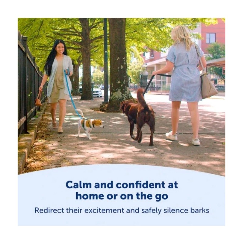 PetSafe PBC00-17758 NanoBark™ Collar | World's Smallest Bark Collar