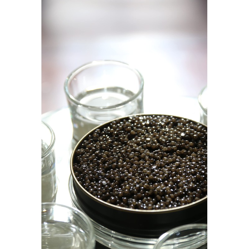 Royal Amber Siberian Caviar - Baerii Sturgeon Roe - Cru
