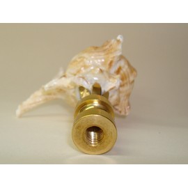 B&P Lamp® 3 1/4""Seashell Finial