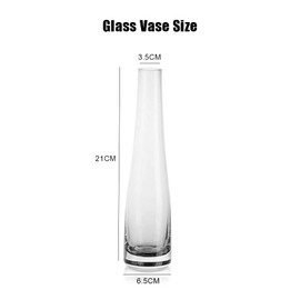 Bamboopack Hand-Made Blown Art Bud Glass Vase - Clear, Modern, Floral, Rectangular, Holds Water - Perfect for Wedding, Dining Table Decor