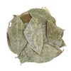 Sellerhub 신선약초 그라비올라잎 200g (S10455806) Fresh Herbal Graviola Leaf 200g