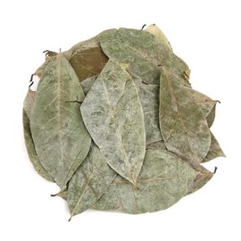 Sellerhub 신선약초 그라비올라잎 200g (S10455806) Fresh Herbal Graviola Leaf 200g