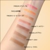 FOMIX Double Color Shimmer Eye Shadow Stick Gradient Eye Makeup