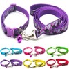 Doggie Style Store Small Dog Puppy Pet Collar and Lead