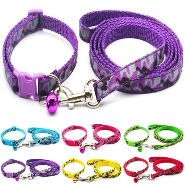 Doggie Style Store Small Dog Puppy Pet Collar and Lead