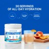 Evogen Hydration Polvo Electrolitos Sin Azúcar Té Durazno