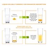 Turmeric Curcumin with BioCultures & Enzymes - Fermented High Strength