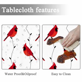 Yibeas Tablecloth Round Cardinal Bird Table Cloth Red Birds on Branches Table Cover for Dining Room Kitchen Decoration Round Tablecloths 60 inch