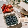 Nationwide Paper Takeaway Bagasse Sugarcane Burger Box (50)