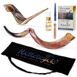 HalleluYAH 35"-39" Yemenite Fully Polished kudu Shofar From Israel Plus Free Bonus Ram Horn