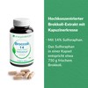 EnergyBalance Broccoli Extract, 60 Capsules of 517 mg Each with