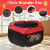 Chicken Brooder Box for Baby Chicks with Removable Floor Tray