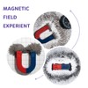 DAILYLIFE Magnetic Iron Powder Iron Filings 1 Pound （16 Ounces）