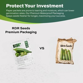 120 Clemson Spineless Okra Seeds for Planting - Heirloom, Non-GMO, USA Grown Seeds in Premium Waterproof Packaging - Lady's Finger, Gumbo, Bhindi by RDR Seeds