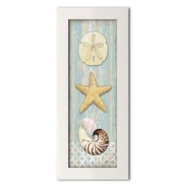 Gango Editions Spa Shells | Sand Dollar, Starfish and Nautilus Panel by Paul Brent; Coastal Décor; One 8x18 White Framed Print