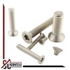 Countersunk Screws with Hexalobular Socket (TX) – M6 x 25