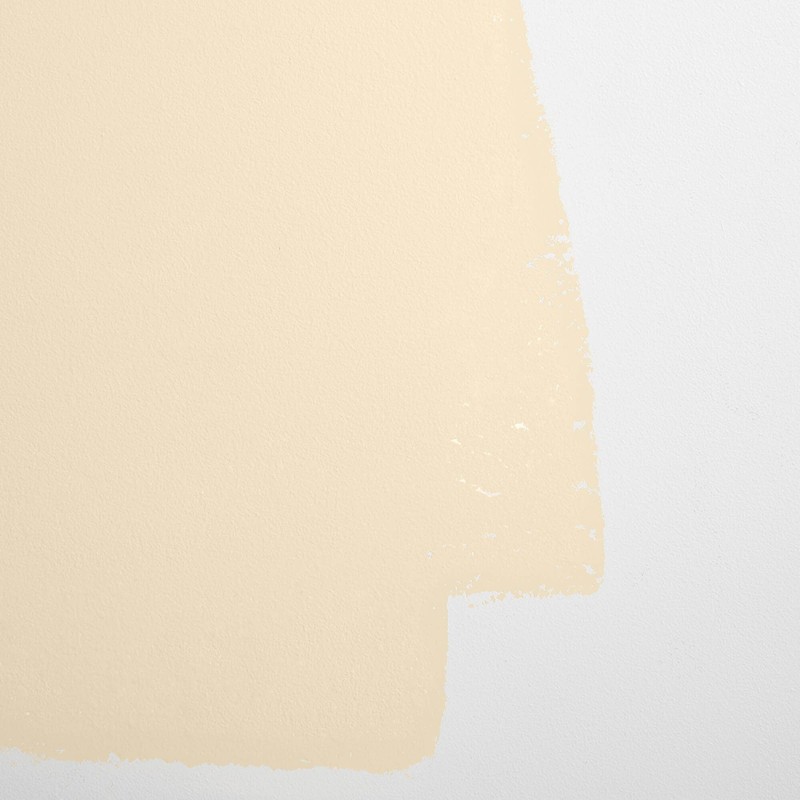 BACKDROP | Premium Interior Paint | Large Adhesive Paint Swatch