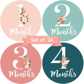 Baby Monthly Milestone Stickers – Set of 24 Floral Baby Girl Month Stickers (Pink & Teal)
