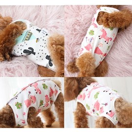 Pet Recovery Suit for Spaying/Neutering All-in-one Little Lion/XL 3ea