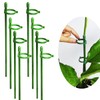Belit 8 Pack Small Plant Support Plant Stakes, Adjustable Garden