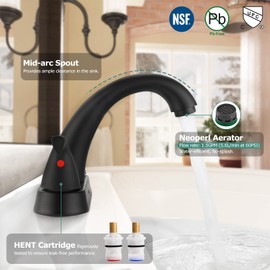 PARLOS 2-Handle Bathroom Sink Faucet with Drain Assembly and Supply Hoses Matte Black,1359804