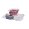 35 PACK - Plastic Berry Basket/Produce Containers - Pint Size