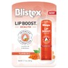 Blistex Lip Boost Health Intensive Hydration Tumeric Moisturizer