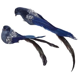Mark Roberts 2022 Exquisite Feather Bird with Clip, 6" Assortment of 2, Home and Kitchen Decor, Christmas Decorations Indoor, Collectible Figurines