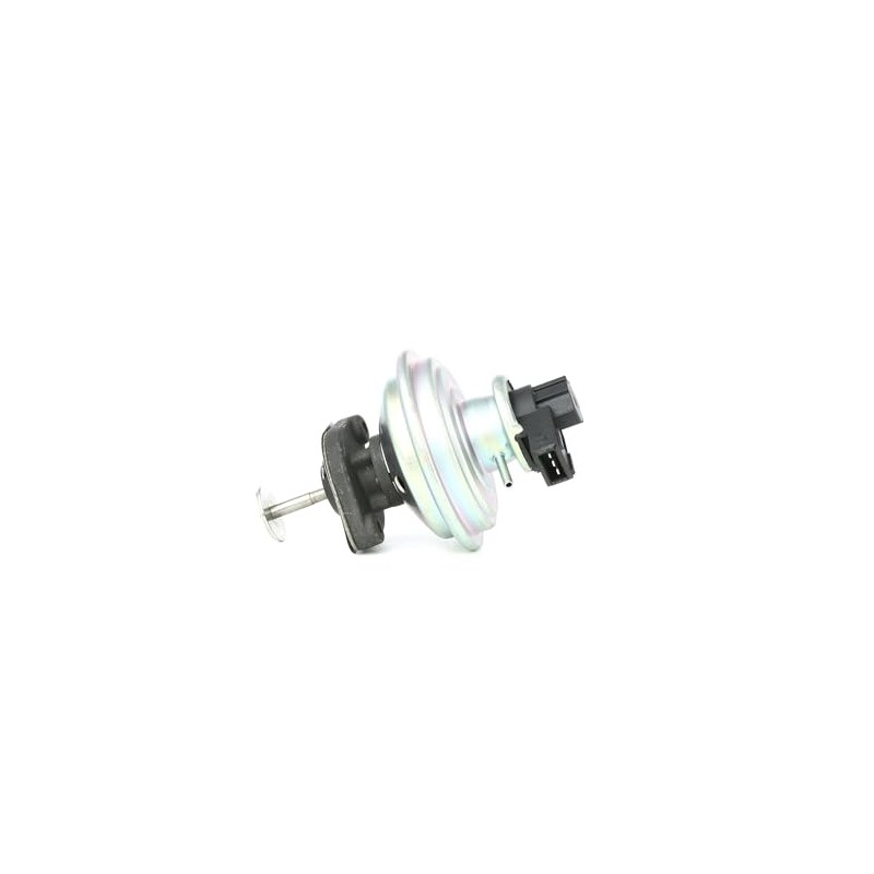 STROK SKEGR-0770029 EGR Valve