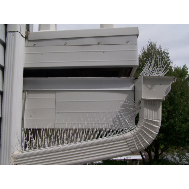 Nixalite Stainless Steel Bird Spikes Premium Model S (8ft, 4-2ft