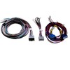 Pac-Audio APH-FD01 2007-2019 Ford vehicles with Factory Amplified Sound Systems
