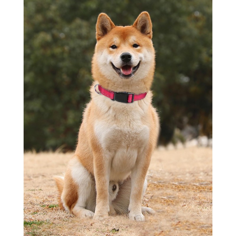TagME Dog Collar, Adjustable Reflective Nylon Dog Collar with Quick