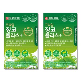 Ginkgo Leaf Extract Ginkgo Plus 2 Boxes 2 Month Supply Flavonol Glycosides Blood Circulation Health / 은행잎추출물 징코 플러스 2박스 2개월분 플라보놀배당체 혈행건강