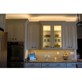 Specialty Lighting Undercabinet, curio display Light-20W Black w/10' Power Cord & switch(1000-05